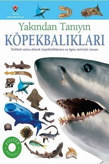 Yakından Tanıyalım Köpekbalıkları (poster Hediyeli)