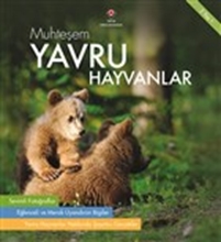 Muhteşem Yavru Hayvanlar 5 Yaş+