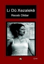 Li Dü Xezaleke Kürtçe Roman