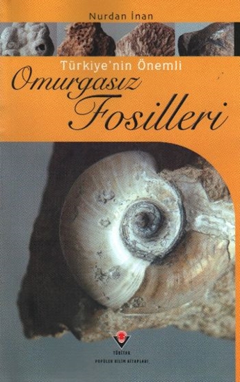 Türkiyenin Önemli Omurgasız Fosilleri