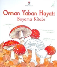 Orman Yaban Hayatı Boyama Kitabı 8 Yaş+