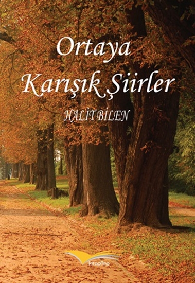 Ortaya Karışık Şiirler